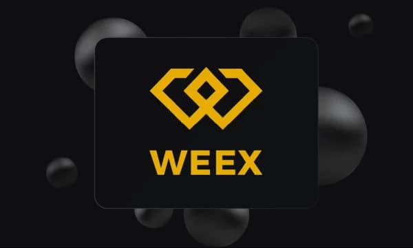 WEEX Exchange Review: Features, Fees, Security, and More